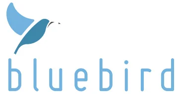Bluebird Languages - Language learning platform client of StackMint